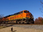 BNSF 8001 on NS